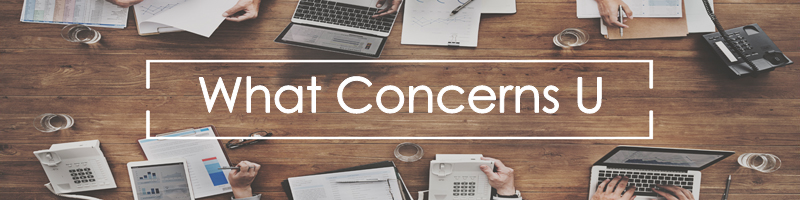 Discovery Business Coaching_What Concerns U